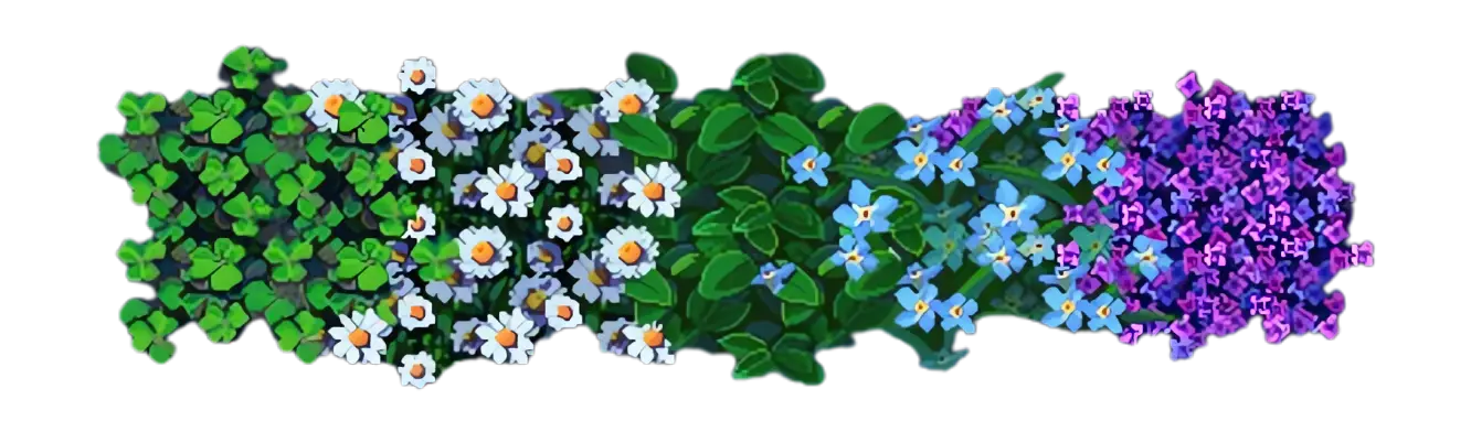 {葵} 的杂货铺 🌻